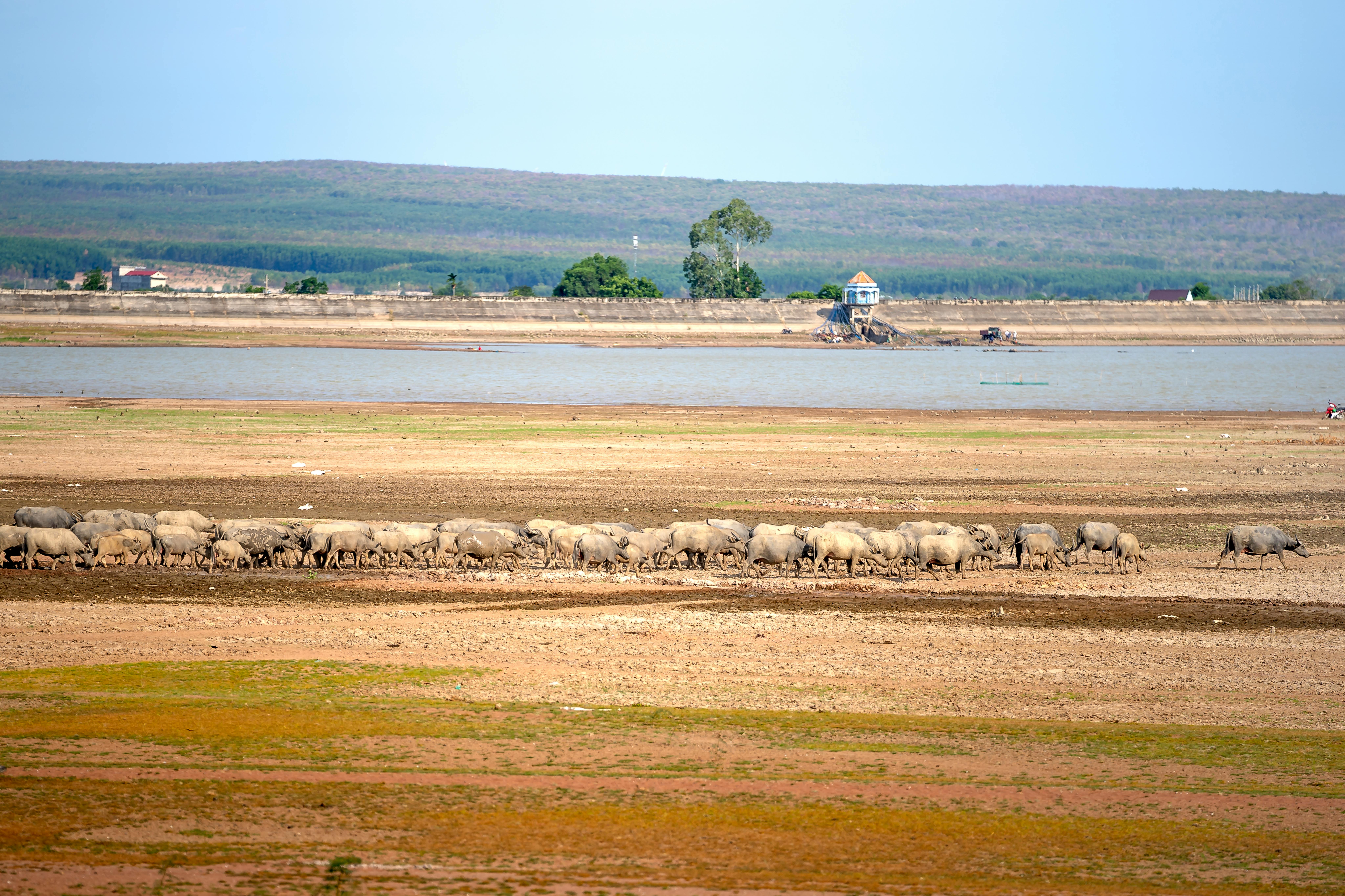 10-Day Serengeti Circuit Safari