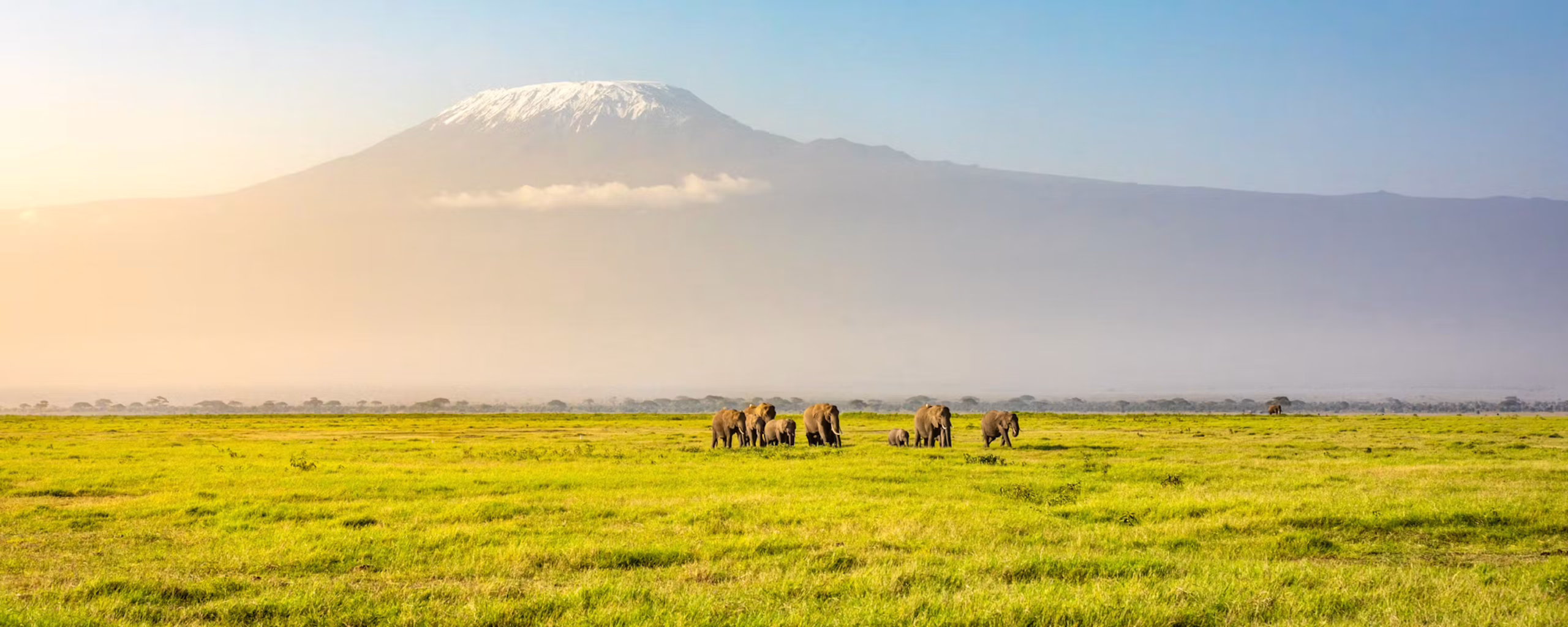 Family Safaris in Tanzania