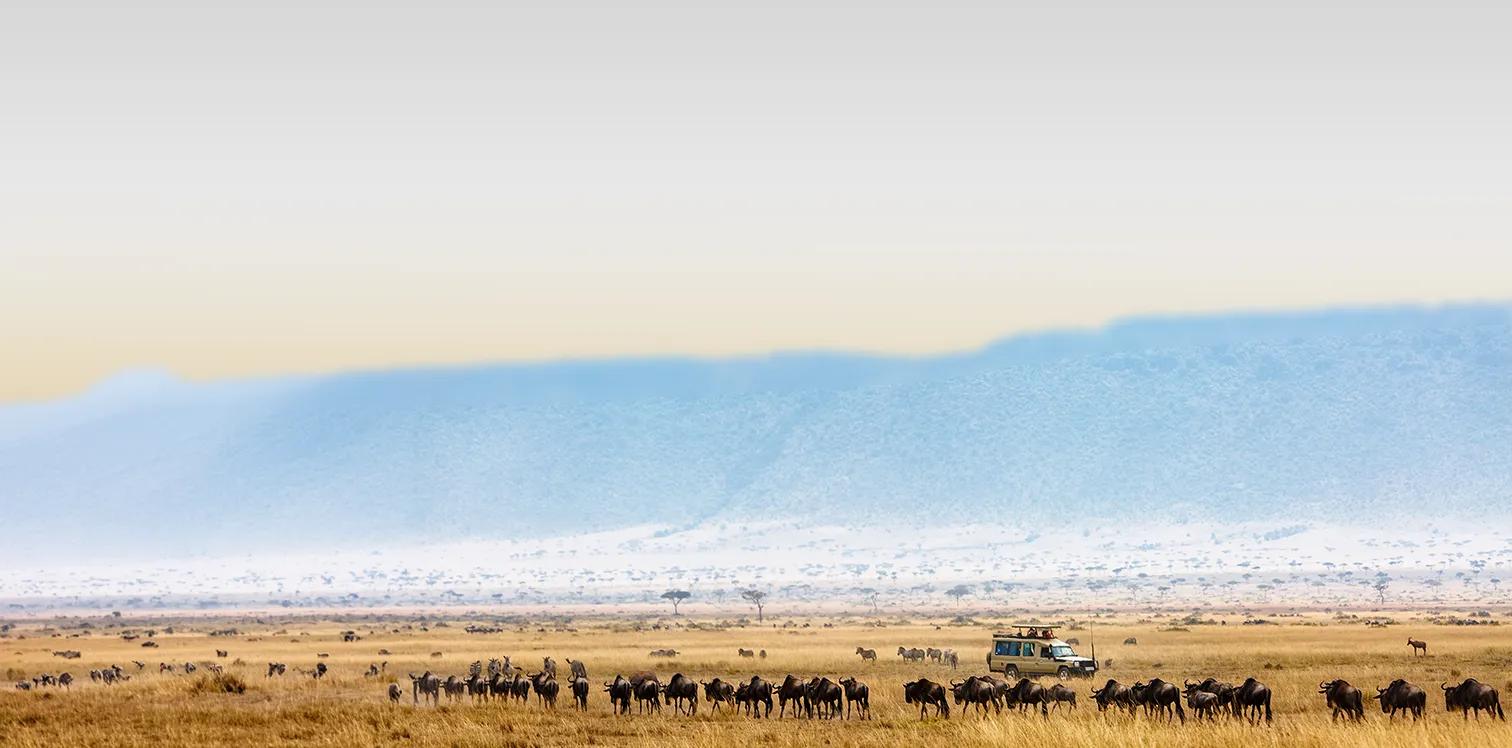 5 Days Serengeti Safari