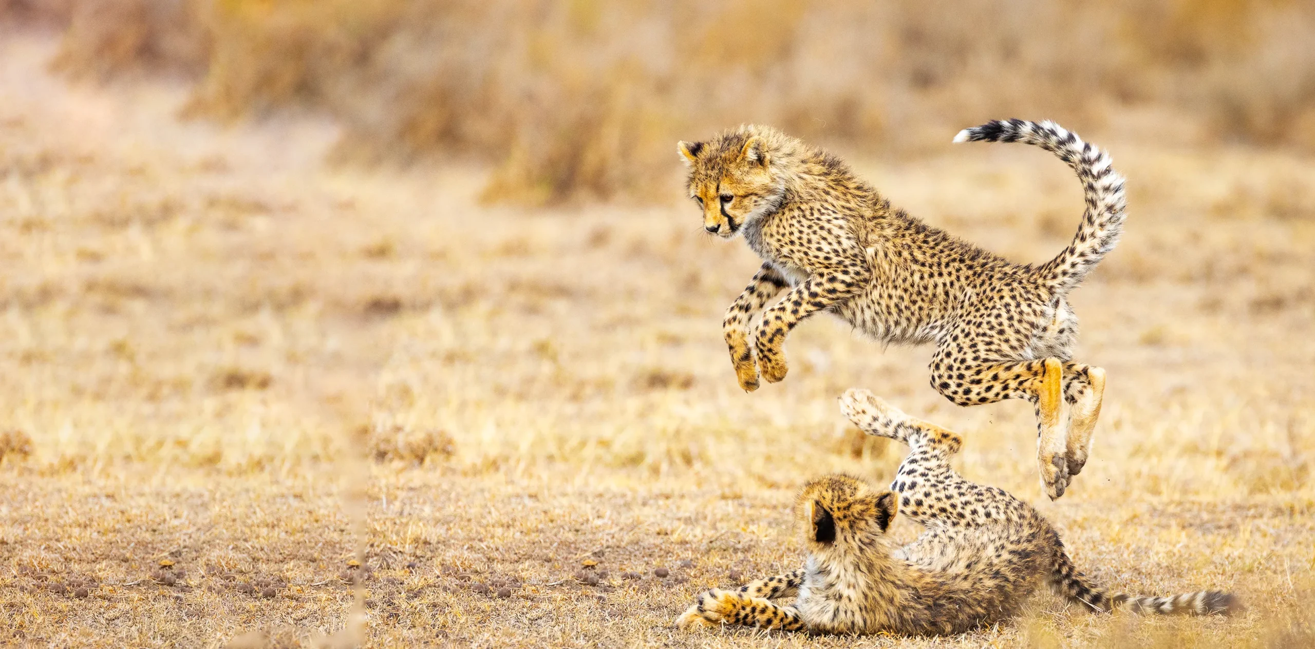 9 Days Northern Tanzania Grand Circuit