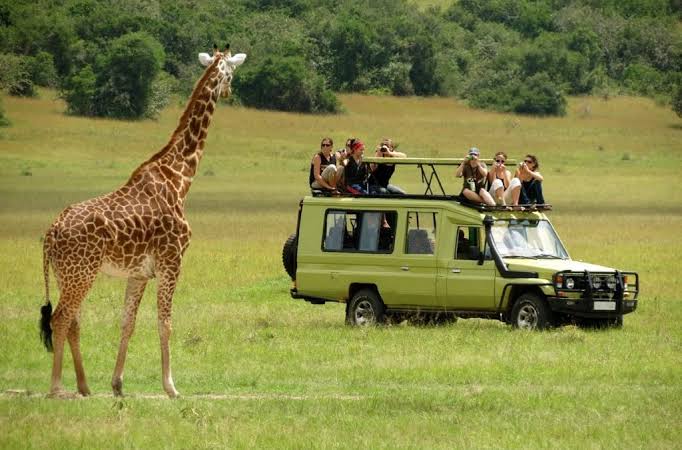 2-Day Family Safari