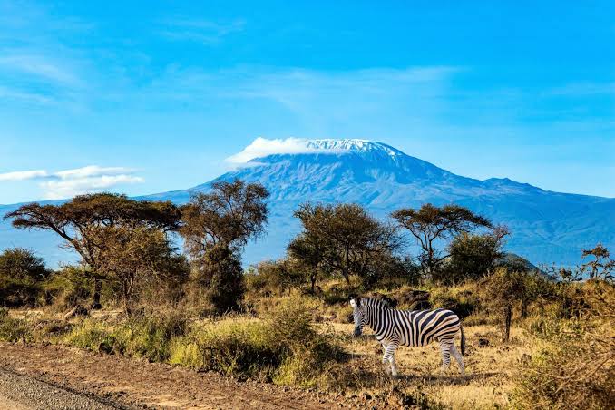 Changing vegetation zones on the slopes of Kilimanjaro