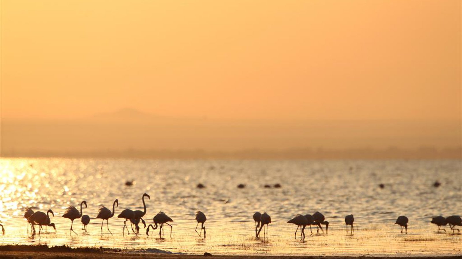Wildlife and scenery in Lake Manyara National Park
