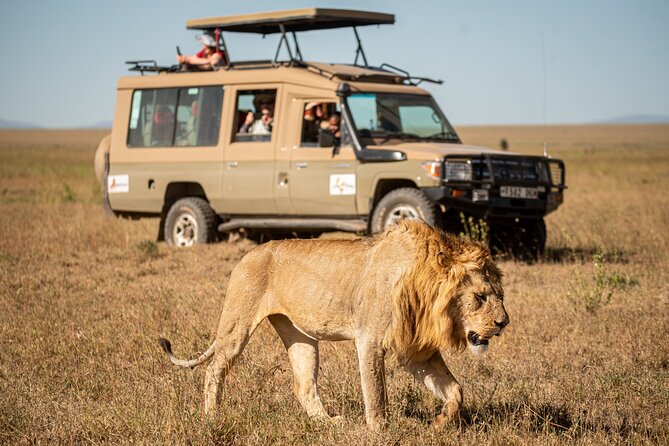 4-Day Luxury Safari