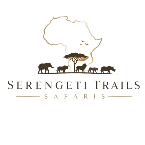 serengetitrailssafaris.com