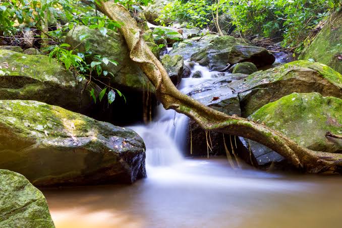 Udzungwa Mountains National Park