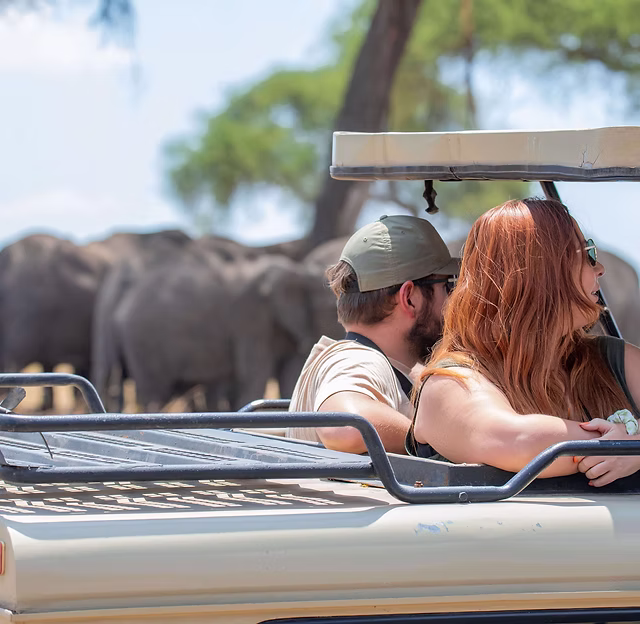 8-Day Extended Serengeti Honeymoon