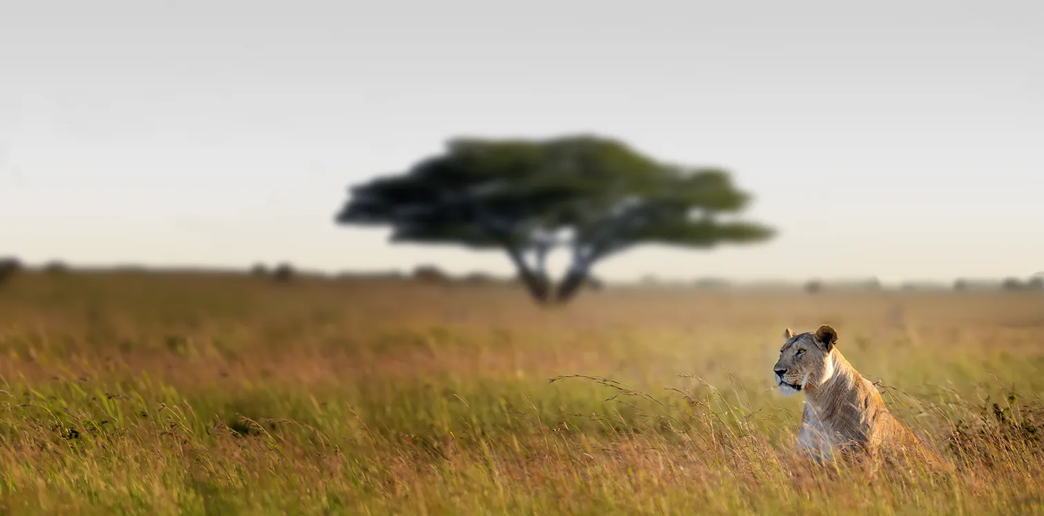 Lake Manyara National Park