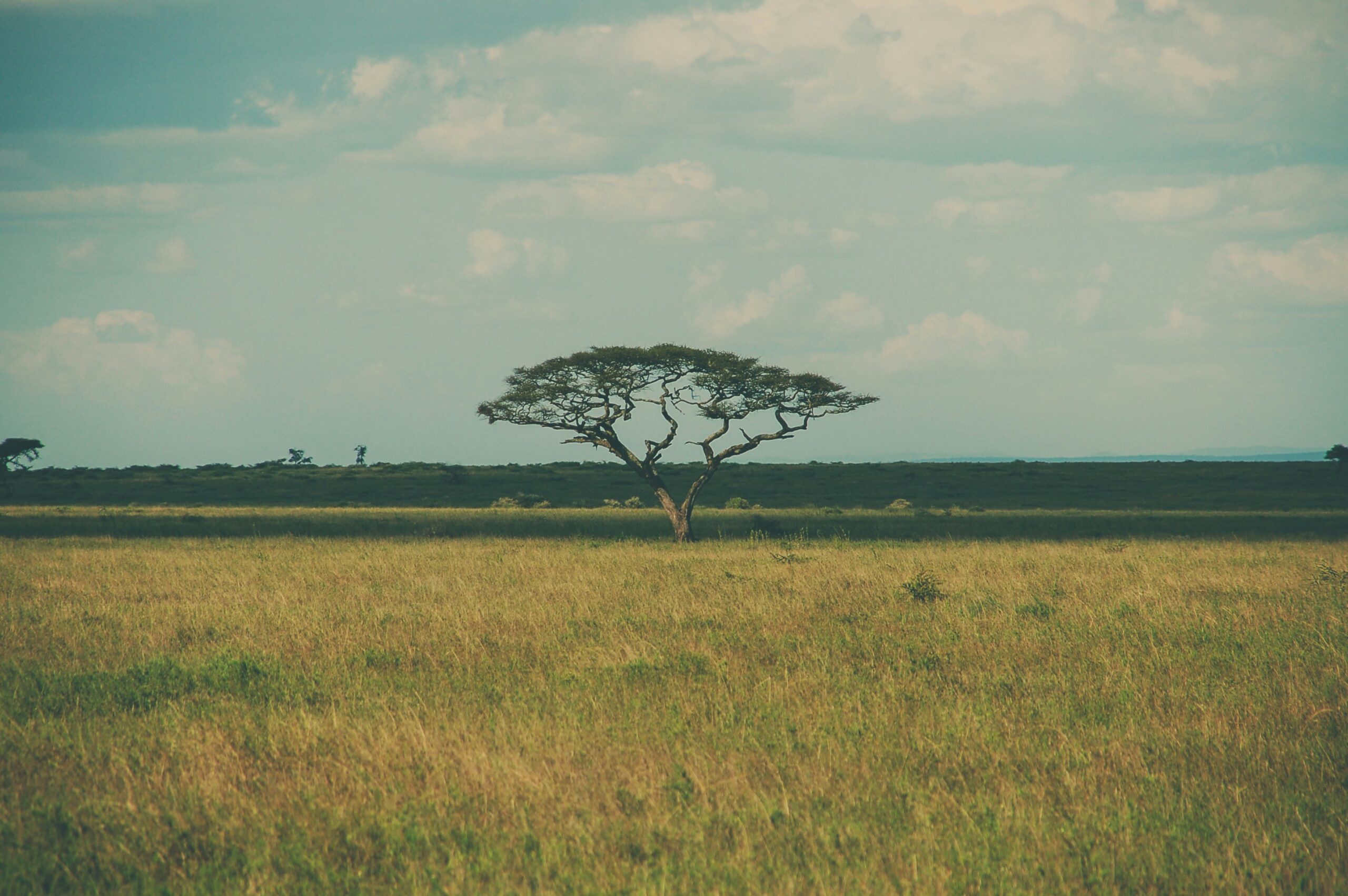 5-Day Luxury Safari