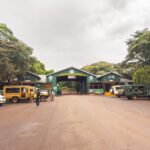 Arusha National Park: The Ultimate Day-Trip Safari Before or After Your Trip