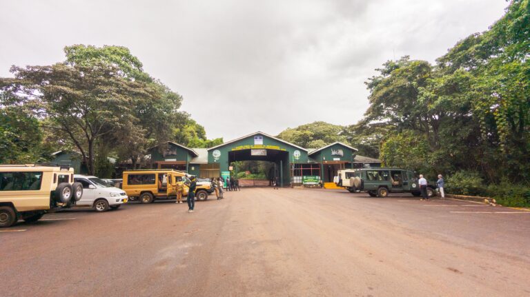 Arusha National Park: The Ultimate Day-Trip Safari Before or After Your Trip