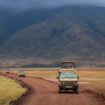 Safari Vehicle Types Explained: What You’ll Actually Ride In (The Complete Guide)
