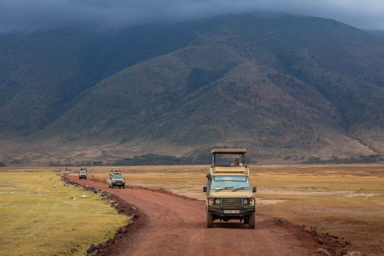 Safari Vehicle Types Explained: What You’ll Actually Ride In (The Complete Guide)