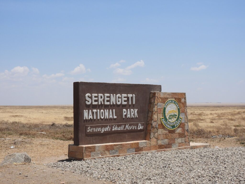 Serengeti: The Ultimate Guide to How Many Days to Stay