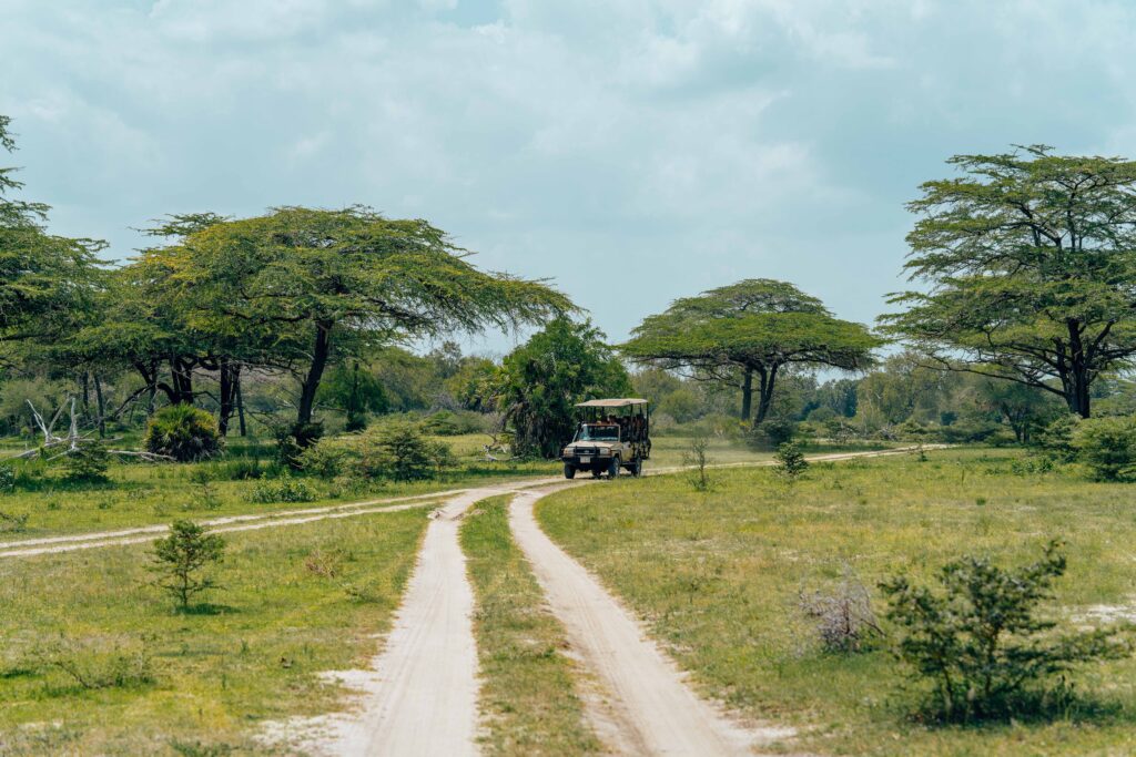 Open-sided safari vehicle type driving through Tanzania woodland