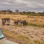 Ruaha National Park: Inside Tanzania’s Largest Park