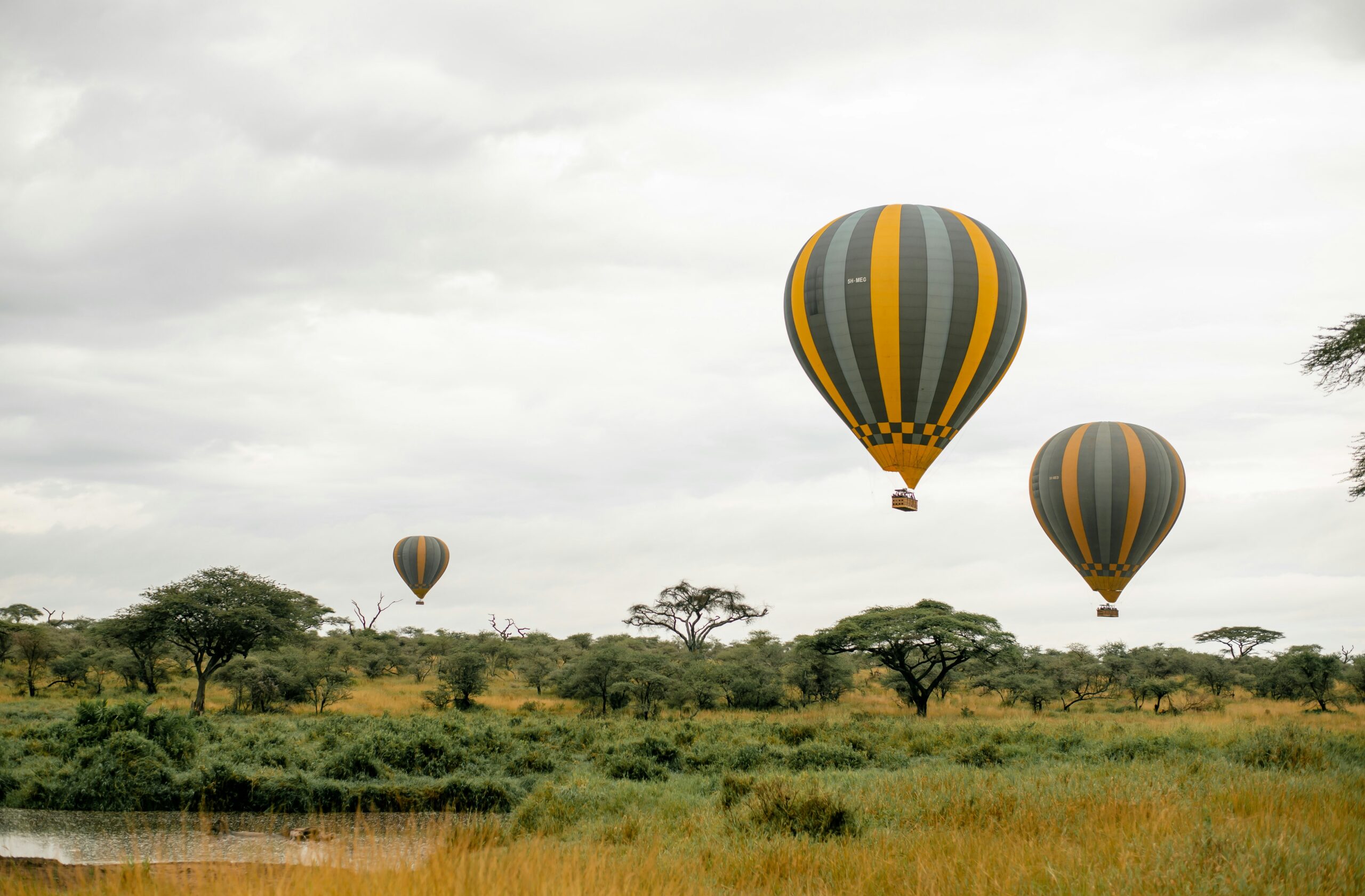 6-Day Luxury Safari